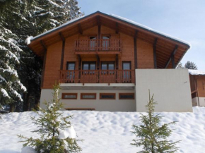 Magnificent chalet on the mountain slopes